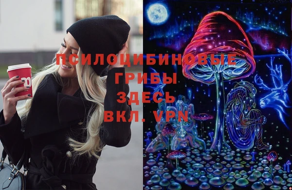 apvp Богданович
