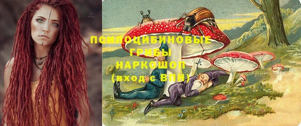 таблы Богородицк