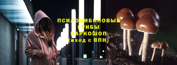 таблы Богородицк