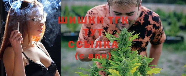 apvp Богданович