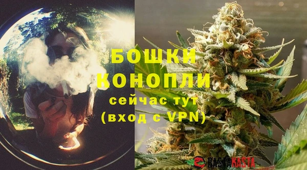 ГАЛЛЮЦИНОГЕННЫЕ ГРИБЫ Богородск